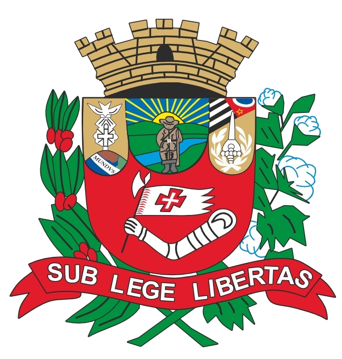 Brasão Novo Horizonte